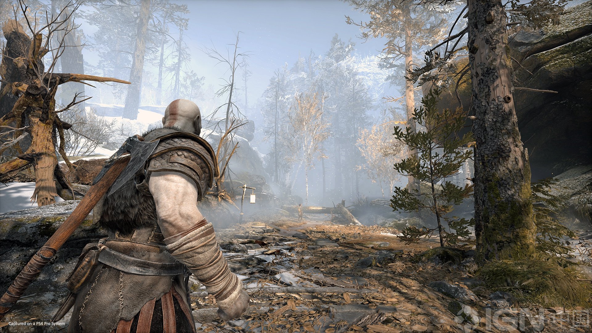 怪物猎人：世界 终极版 截图7