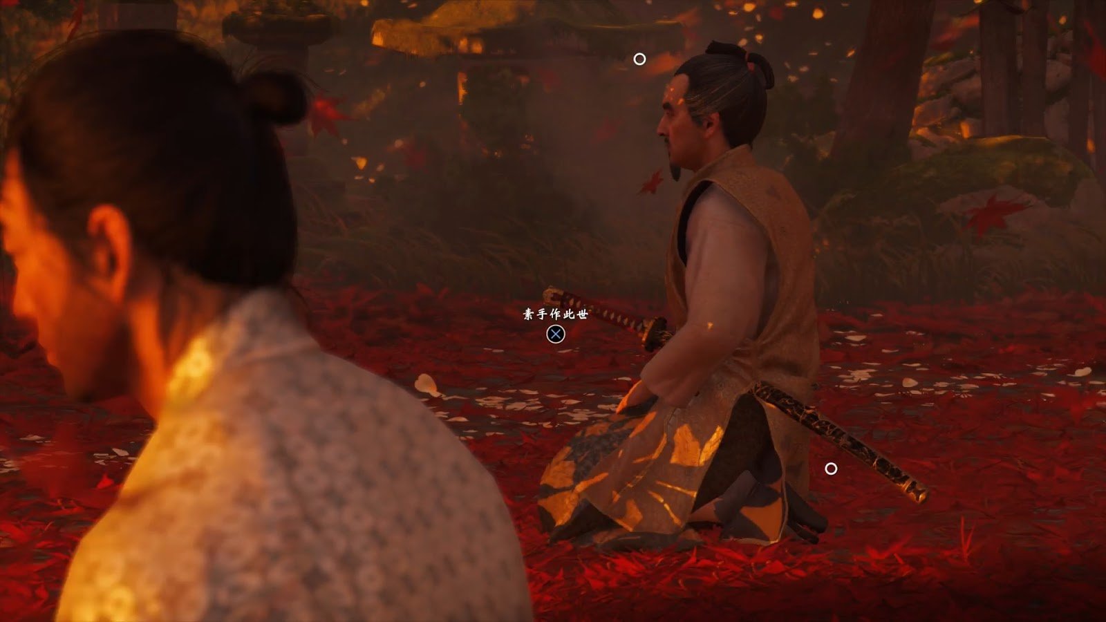 只狼：影逝二度 完整版 截图9