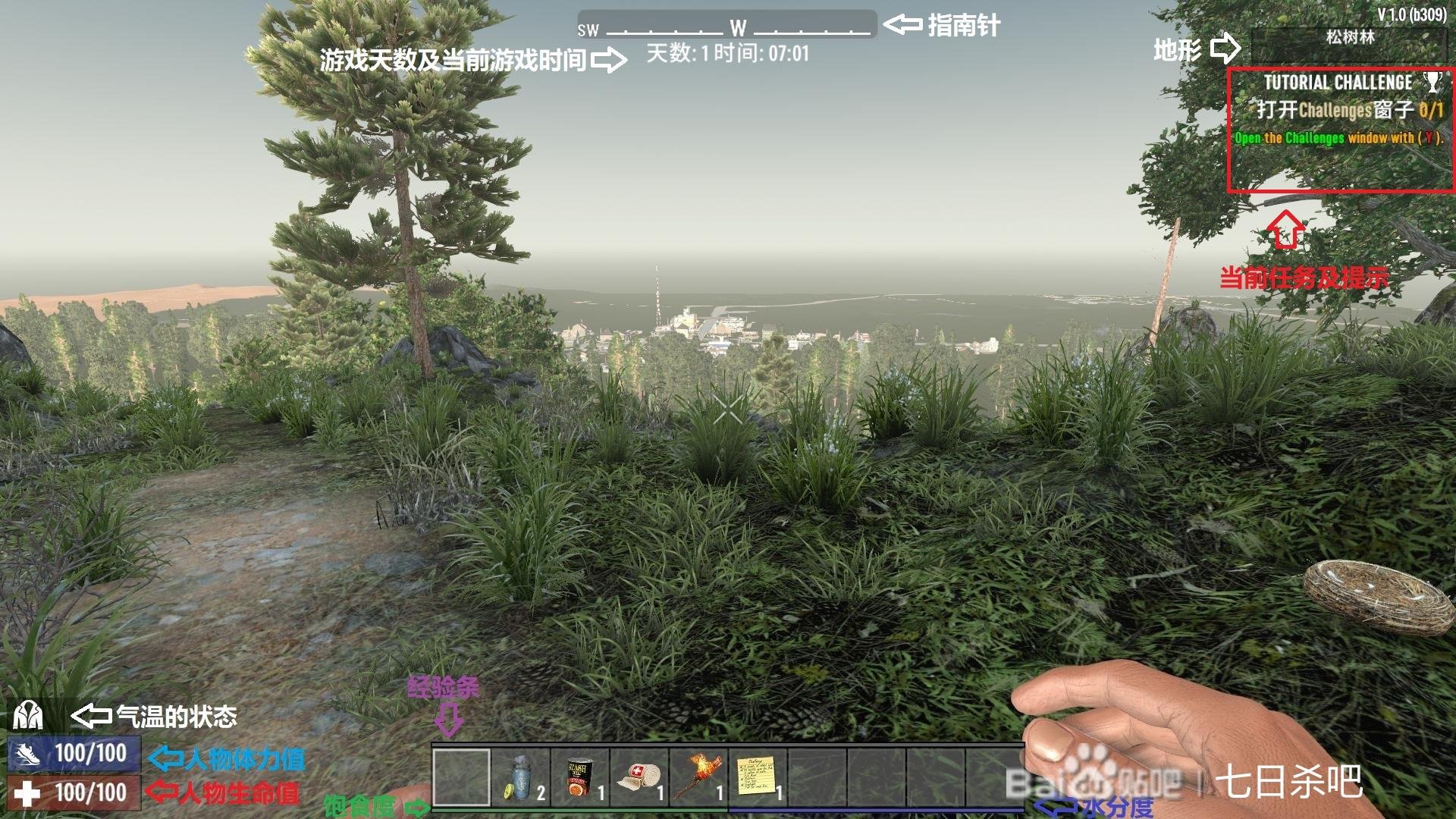 巫师3：狂猎 豪华版 截图9